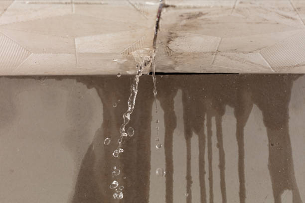 Professional Flood Damage Cleanup technician working in West Concord, MN